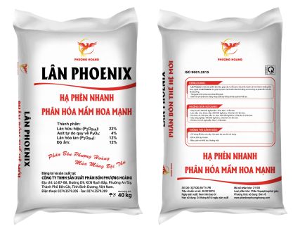 LÂN PHOENIX